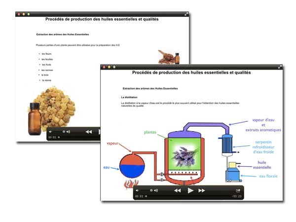 Académie MSN